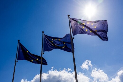 EU flags
