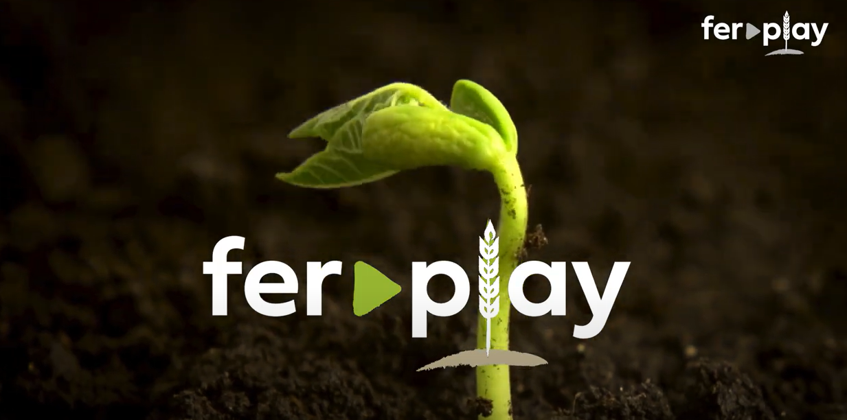 Screenshot 2025-03-25 162409