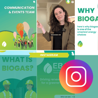 Template newsletter (10)-2