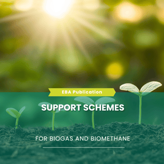 Template newsletter (15)-1