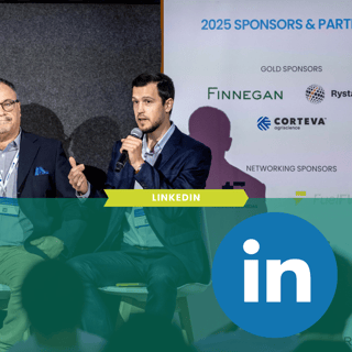 Template newsletter (17)-3