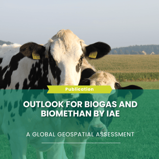 Template newsletter (19)-1