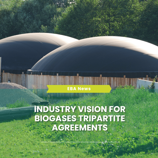 Template newsletter (21)-1