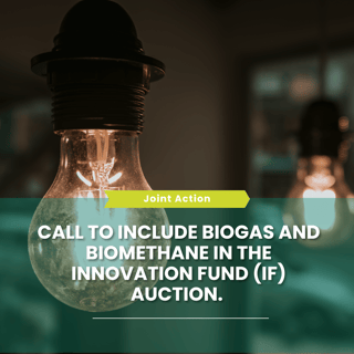 Template newsletter (23)-1