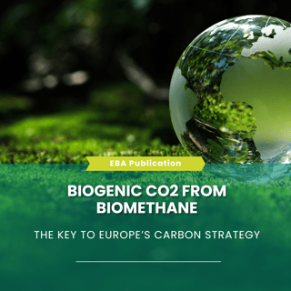 Template newsletter (24)-1