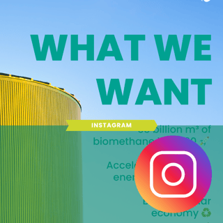 Template newsletter (3)-1