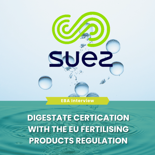 Template newsletter (31)