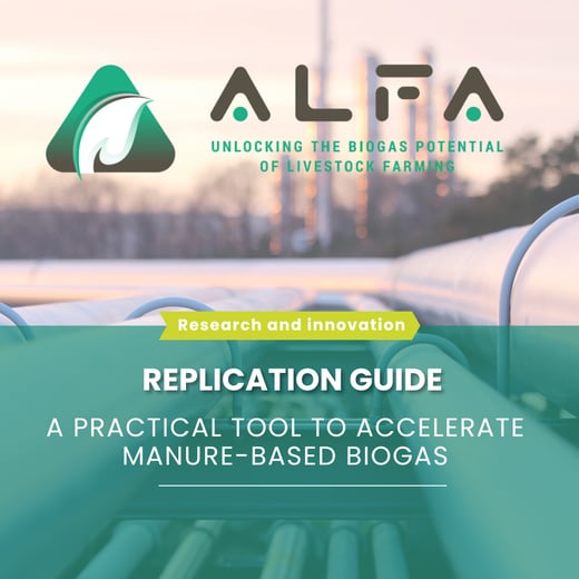 Template newsletter (36)