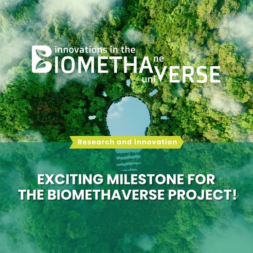 Template newsletter (37)