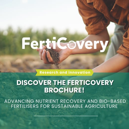 Template newsletter (38)