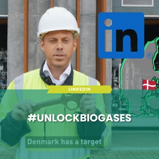 Template newsletter (41)