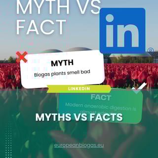 Template newsletter (43)