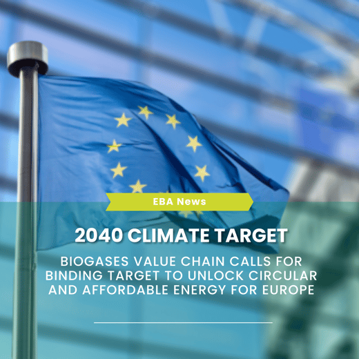 Template newsletter (7)-2