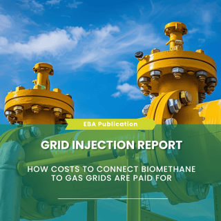 Template newsletter (8)-2